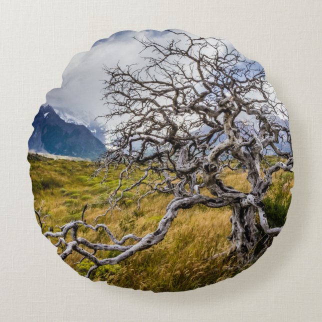 Burnt tree, Torres del Paine, Chile Round Pillow (Front)