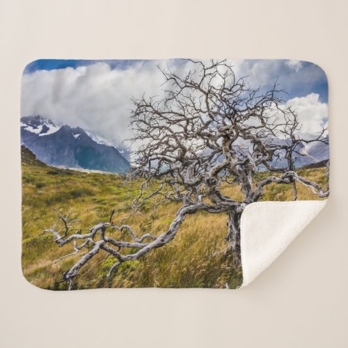 Burnt tree Torres del Paine Chile Sherpa Blanket