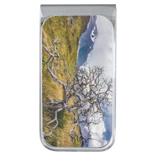 Burnt tree Torres del Paine Chile Silver Finish Money Clip