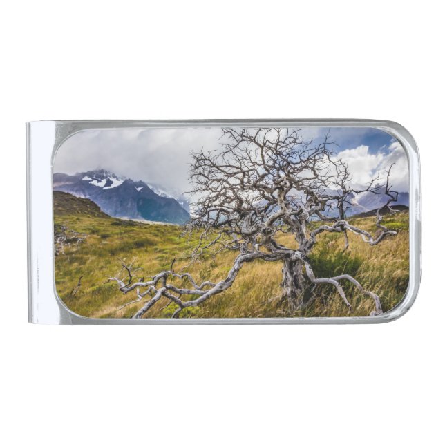 Burnt tree, Torres del Paine, Chile Silver Finish Money Clip (Front)