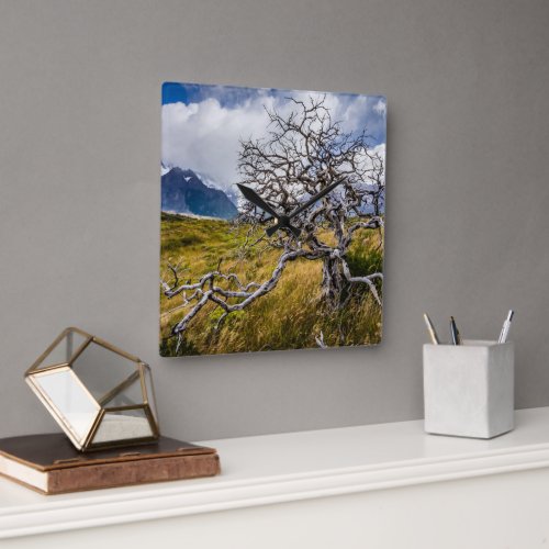 Burnt tree Torres del Paine Chile Square Wall Clock