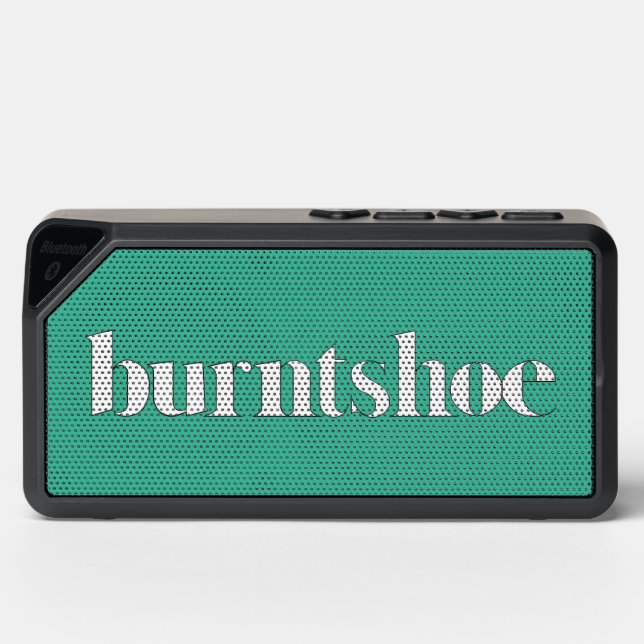 Burntshoe Portable Bluetooth speaker (Front)