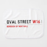 Oval Street  Burp Cloth