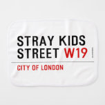 Stray Kids Street  Burp Cloth