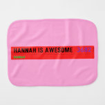 Hannah is awesome   Burp Cloth