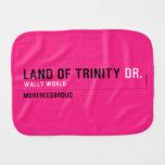 land of trinity  Burp Cloth