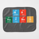 Mr
 Hoynes
   Burp Cloth