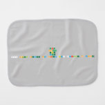North
 South
 East
 West
 800 steel street Ny City by: Janelle H Cooper  Burp Cloth