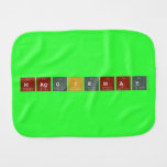 MaggieMae  Burp Cloth