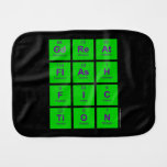 GREAT
 FLASH
 FIC
 TION  Burp Cloth