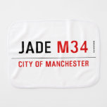 Jade  Burp Cloth