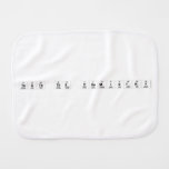 Taste the Chemistry  Burp Cloth