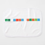The Script Family 
 
   Burp Cloth