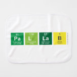 PAllab  Burp Cloth