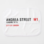 Andrea street   Burp Cloth