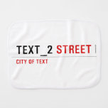 TEXT_2  Burp Cloth