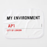My environment    Burp Cloth