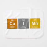 Caimn  Burp Cloth