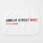 Amelia street  Burp Cloth