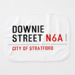 Downie Street  Burp Cloth