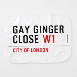 GAY GINGER CLOSE  Burp Cloth