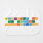 simplicity is
 the ultimate 
 sophistication  Burp Cloth