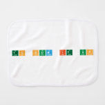 To Sum It Up  Burp Cloth