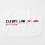 Catsick Lane  Burp Cloth