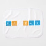 Ms Hay  Burp Cloth