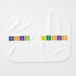 Bankin' BuckS  Burp Cloth