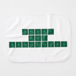 spooky 
 scary 
 skeletons  Burp Cloth