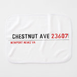  Chestnut Ave  Burp Cloth