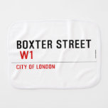 Boxter Street    Burp Cloth