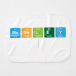 Moseley
   Burp Cloth