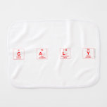 C a l y  Burp Cloth