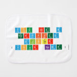 you are a 
 certified
 djster
 (your name)  Burp Cloth