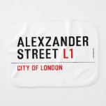 alexzander Street  Burp Cloth