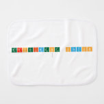 EXPERIMENT STATION
   Burp Cloth