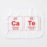 cate  Burp Cloth