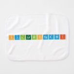 SyllabiOrganii  Burp Cloth