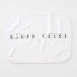 Science rocks
   Burp Cloth