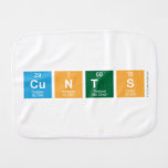 CUNTS  Burp Cloth