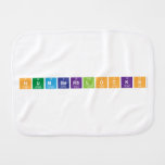 Numberblocks  Burp Cloth