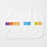 kiss my ass  Burp Cloth