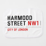Harmood Street  Burp Cloth