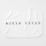 Science Rocks  Burp Cloth
