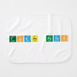 Todas putas  Burp Cloth