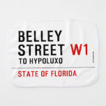 Belley Street  Burp Cloth