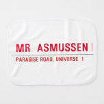 MR   Burp Cloth