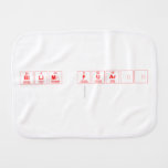 bilim fuarı
   Burp Cloth